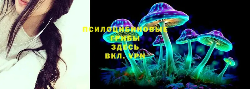 Галлюциногенные грибы MAGIC MUSHROOMS  Бокситогорск 